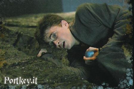 Harry é la prophétie