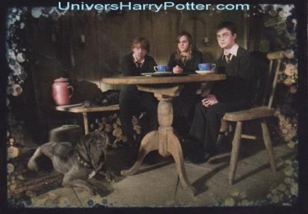 Ché Hagrid