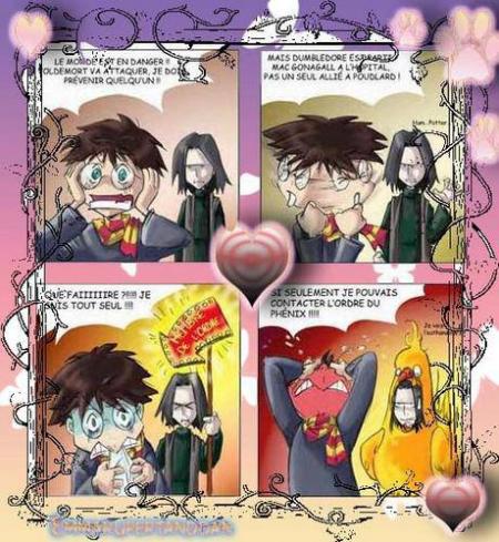 petite BD