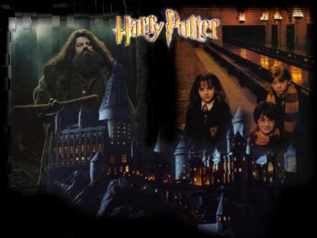 The Sorcerer's Stone!