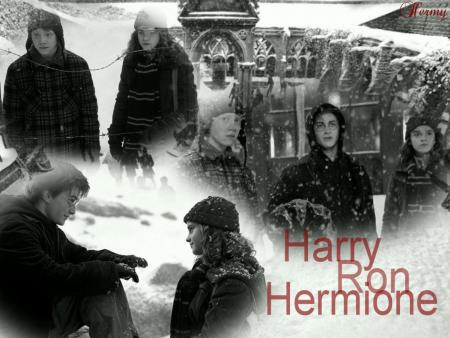 The grey trio