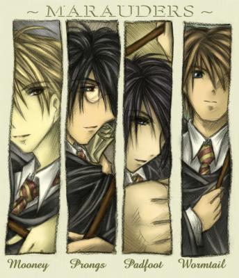 MARAUDEURS!!!!!!